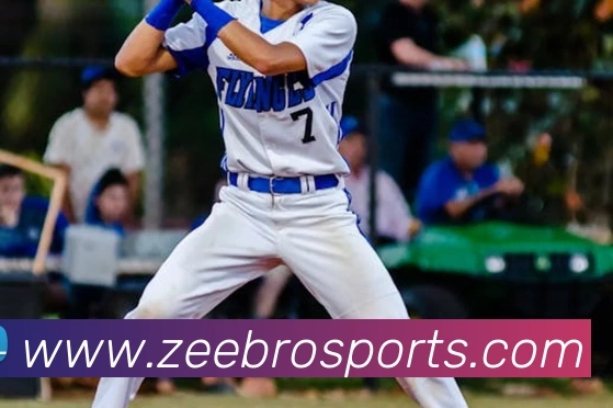 球赛投注平台生态图